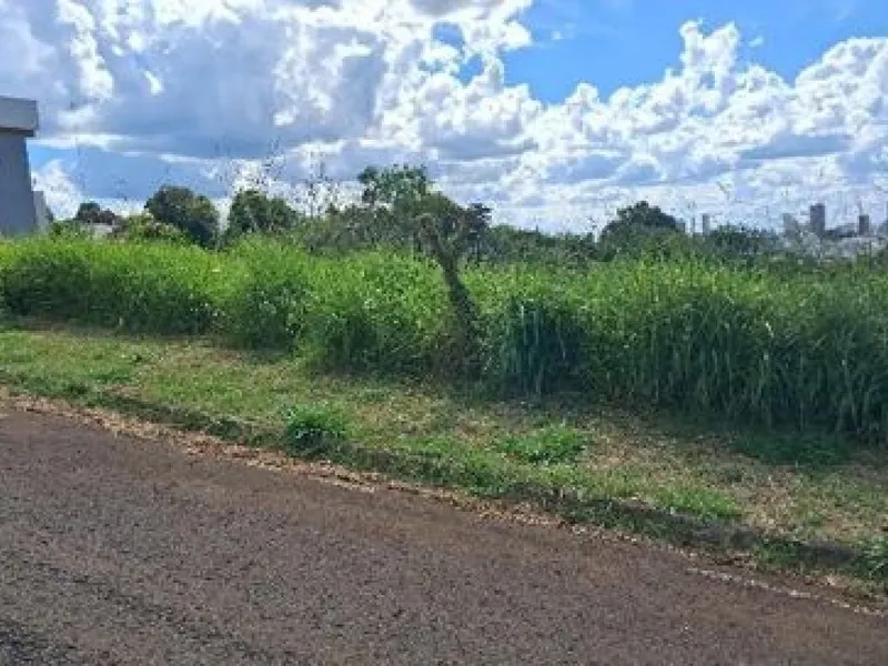 Terreno em leilão