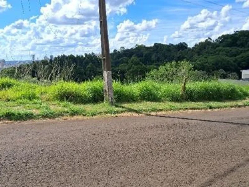 Terreno em leilão