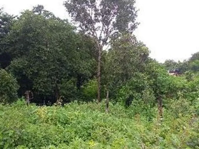 Terreno em leilão
