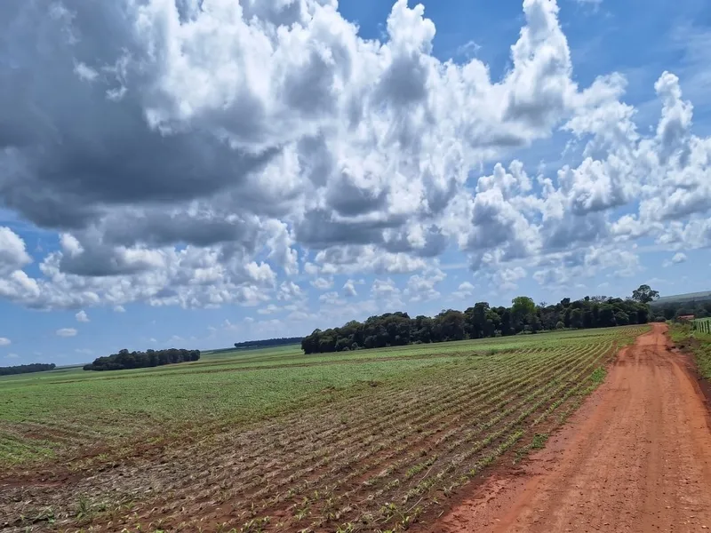 Imóvel rural em Leilão Extrajudicial
