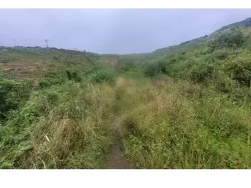 Terreno em leilão