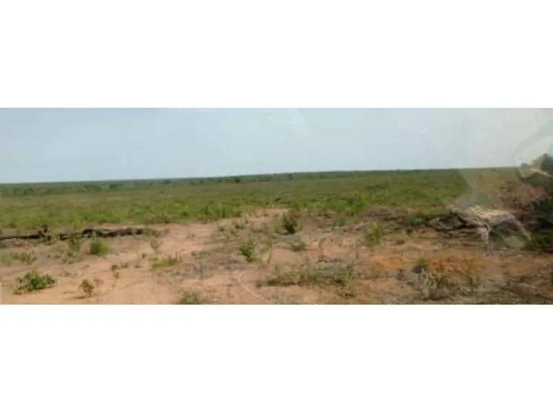 Imóvel rural em leilão