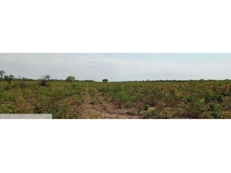 Imóvel rural em leilão