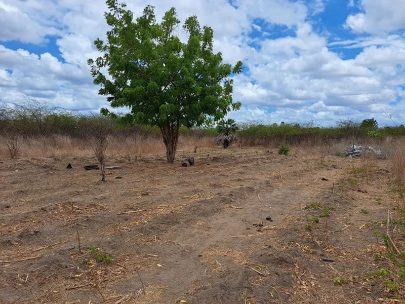 Terreno em Leilão Judicial
