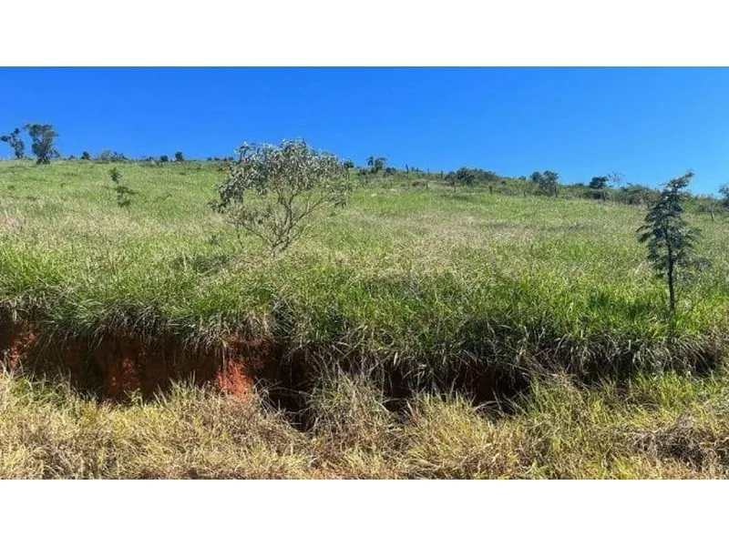 Terreno em leilão