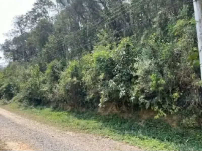 Terreno em Leilão Judicial