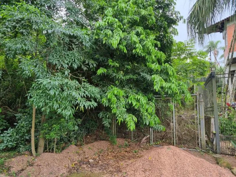 Imóvel rural em leilão