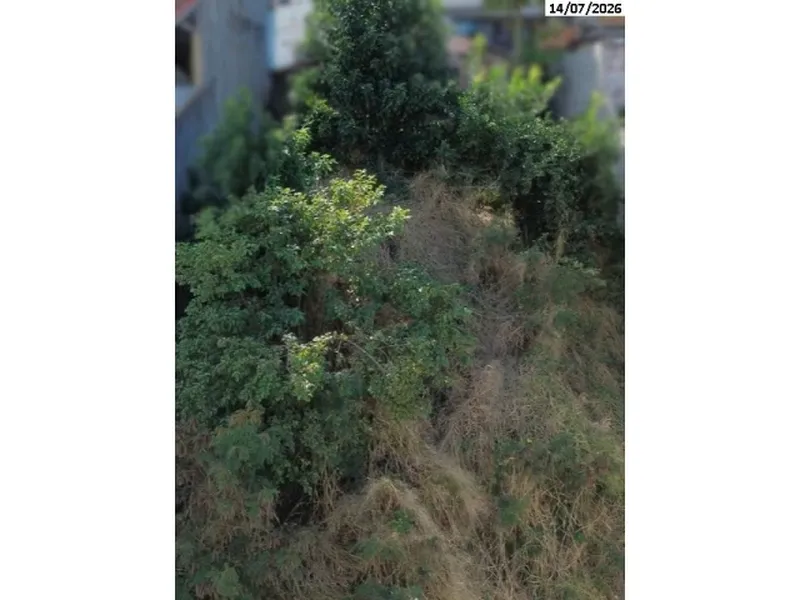 Terreno em leilão