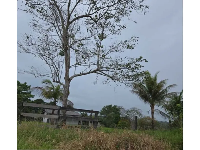 Imóvel rural em Leilão Judicial
