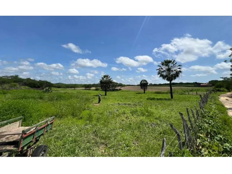 Imóvel rural em leilão