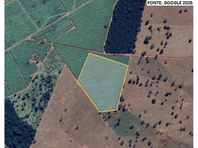 Imóvel rural em Leilão Judicial
