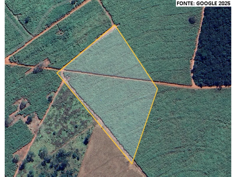 Imóvel rural em Leilão Judicial