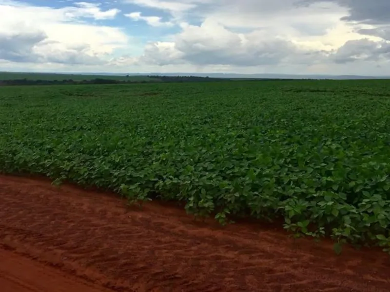 Imóvel rural em leilão
