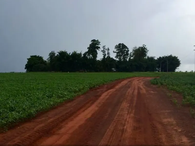 Imóvel rural em leilão