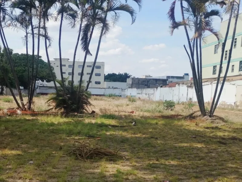 Imóvel rural em leilão