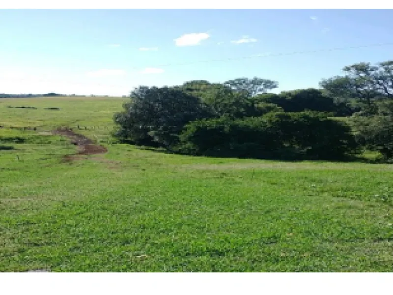 Imóvel rural em leilão