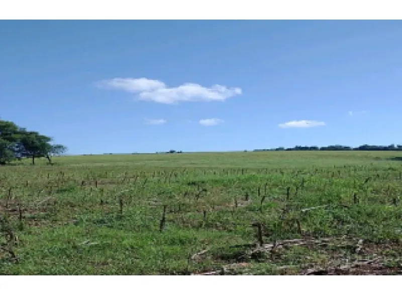 Imóvel rural em Leilão Extrajudicial