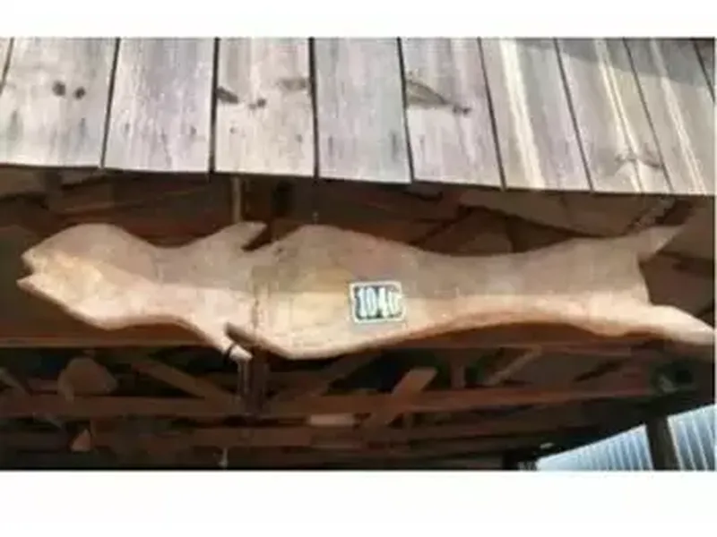 Casa em leilão