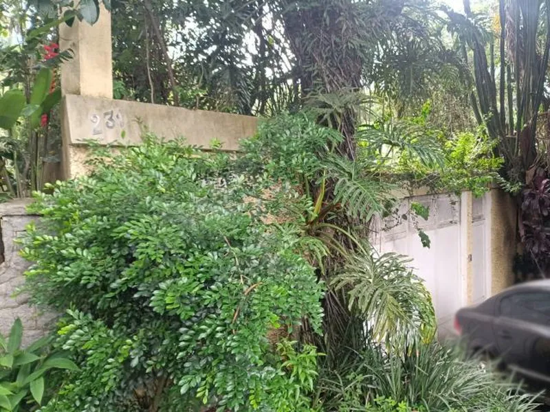 Outros em leilão