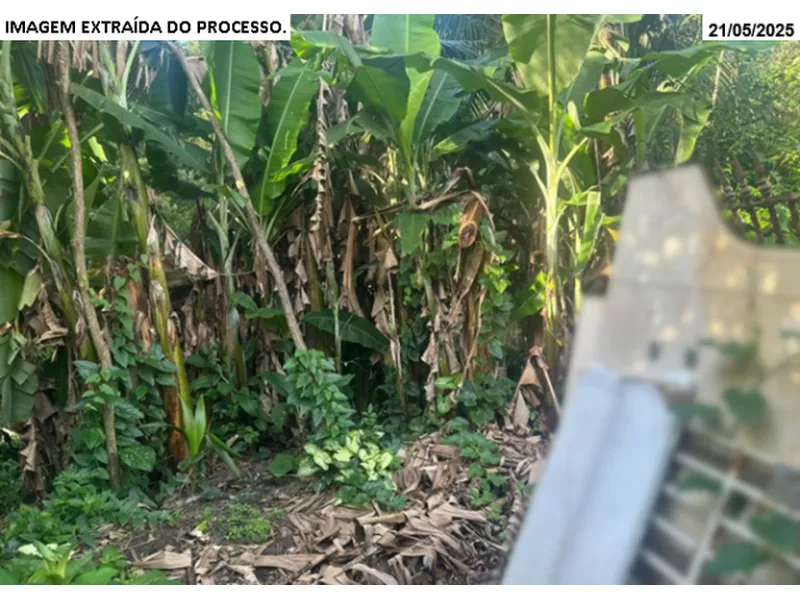 Terreno em Leilão Judicial