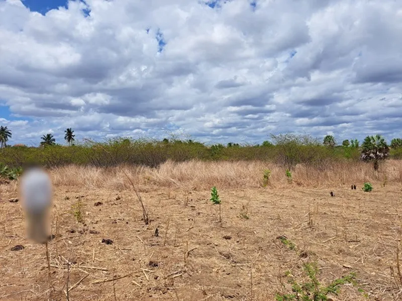 Terreno em leilão