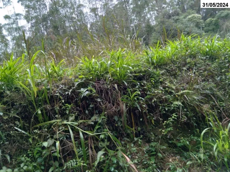 Imóvel rural em Venda Direta