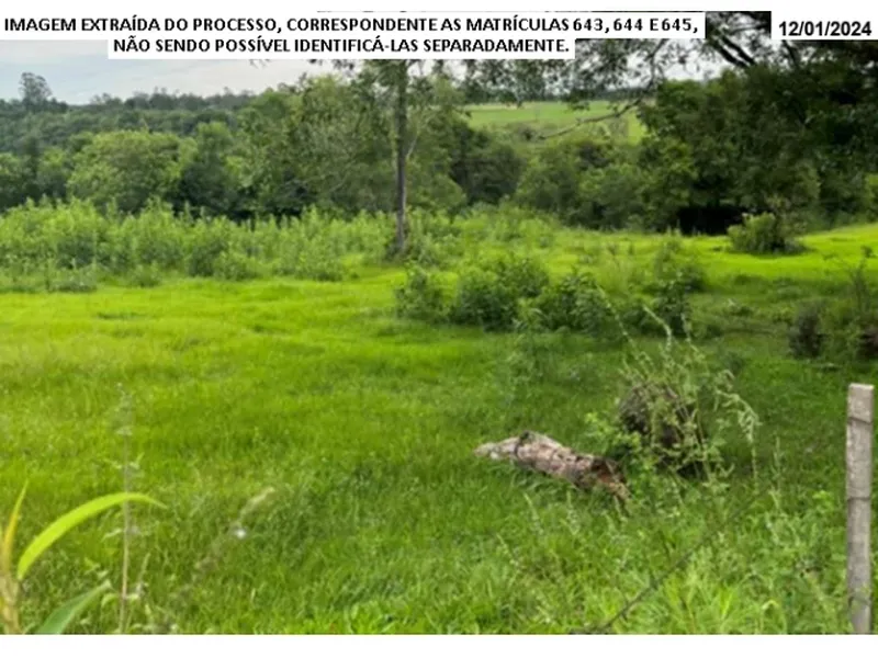 Imóvel rural em leilão
