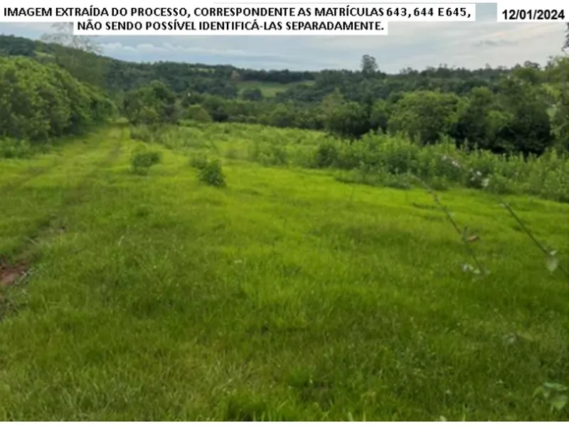 Imóvel rural em leilão