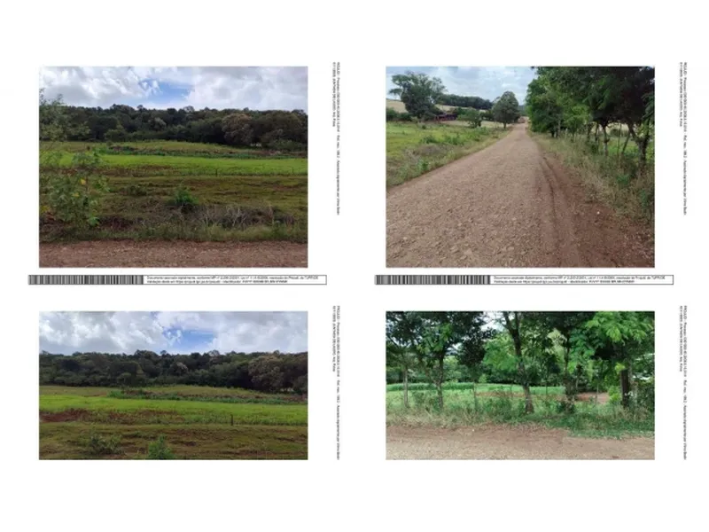 Imóvel rural em leilão