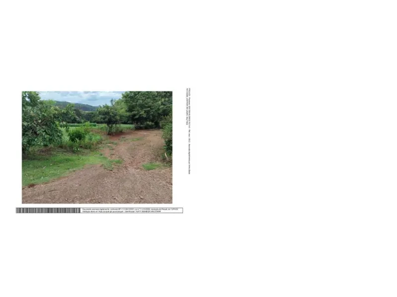 Imóvel rural em leilão