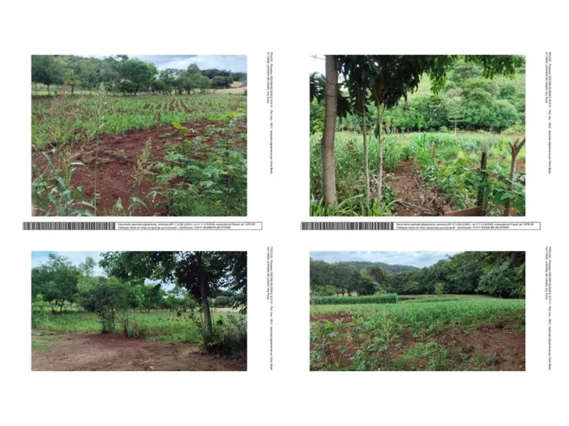 Imóvel rural em Leilão Extrajudicial