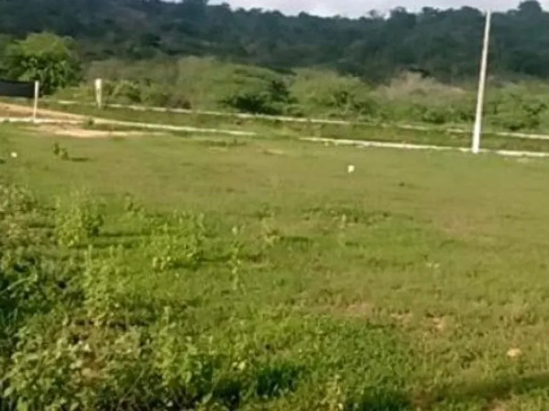 Outros em Leilão Extrajudicial