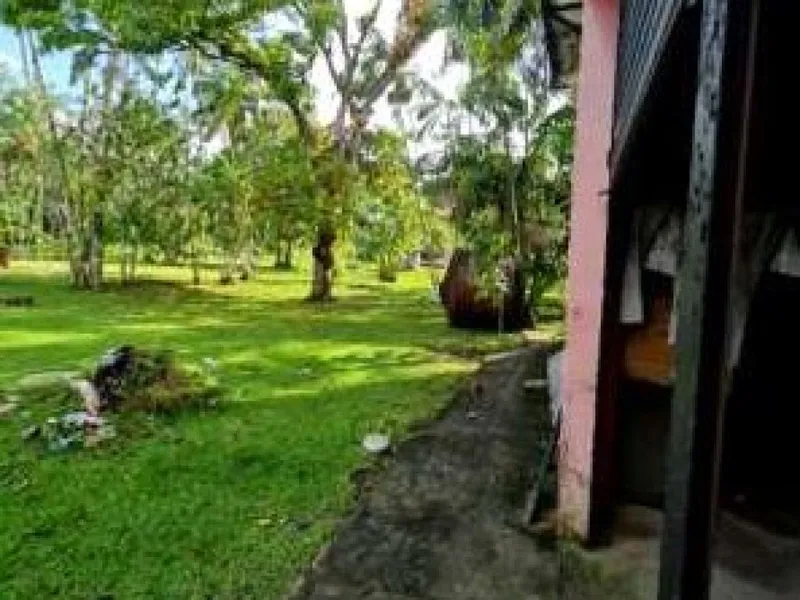 Outros em leilão