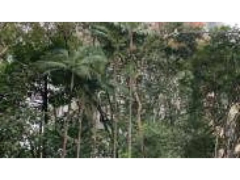 Apartamento em leilão