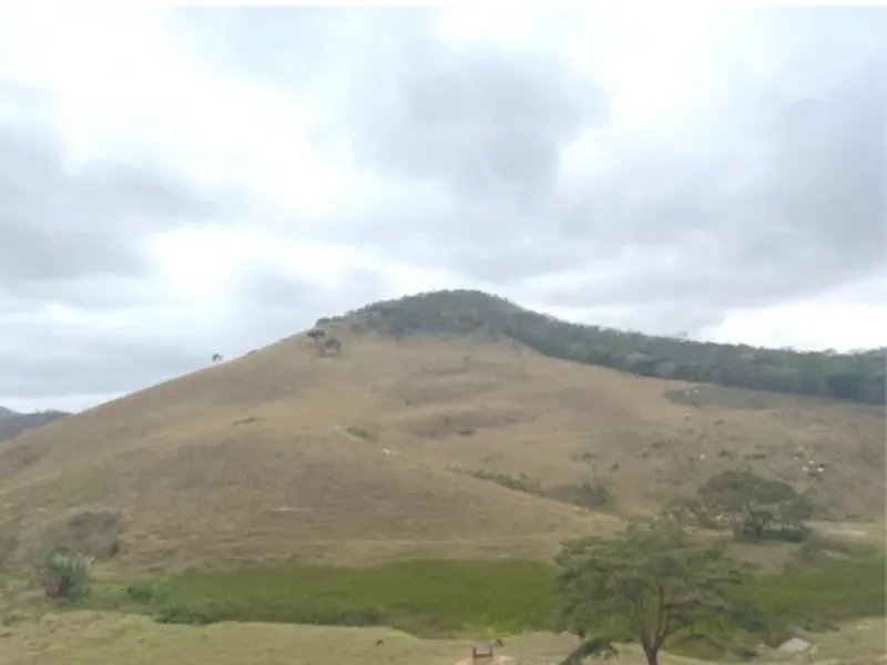 Imóvel rural em leilão