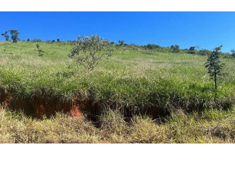 Terreno em leilão