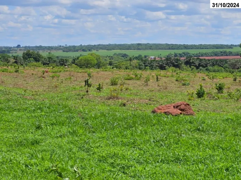 Imóvel rural em Leilão Judicial