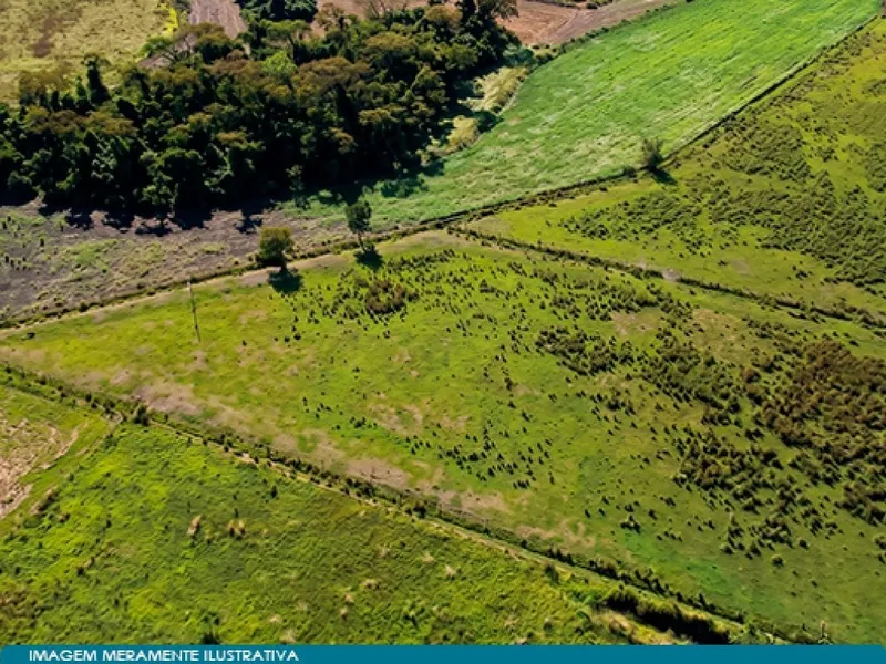Imóvel rural em Leilão Judicial