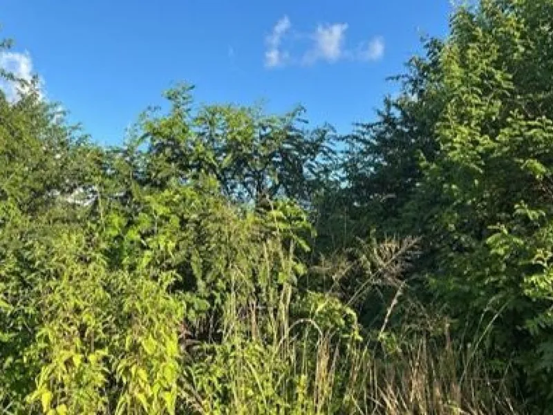 Terreno em Leilão Extrajudicial