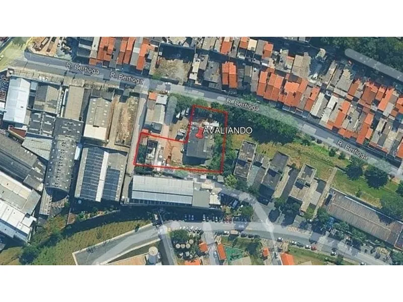 Outros em leilão