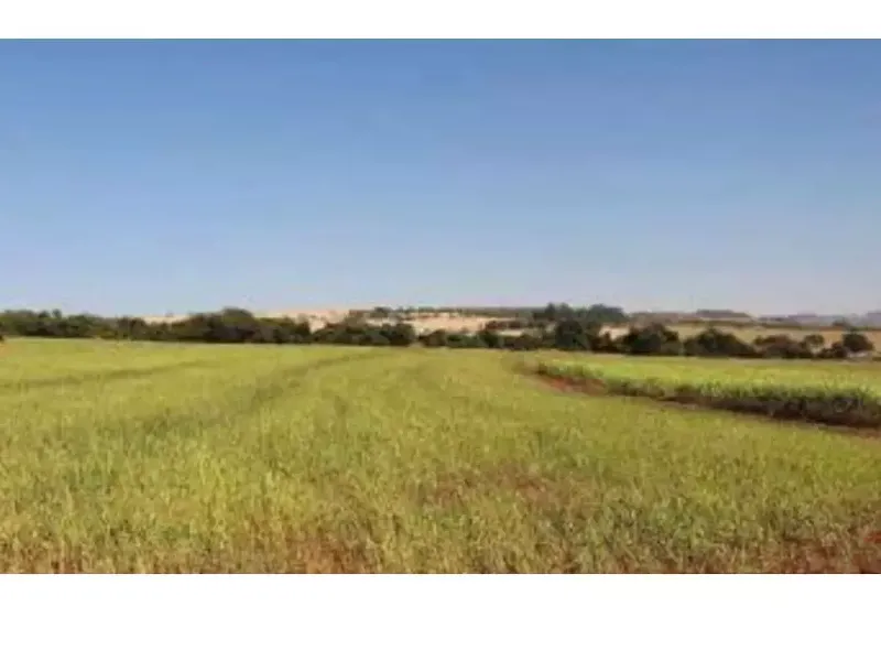 Imóvel rural em leilão