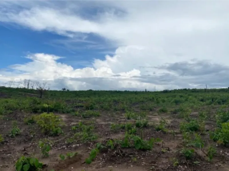Imóvel rural em leilão