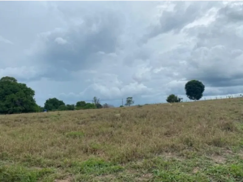 Imóvel rural em leilão