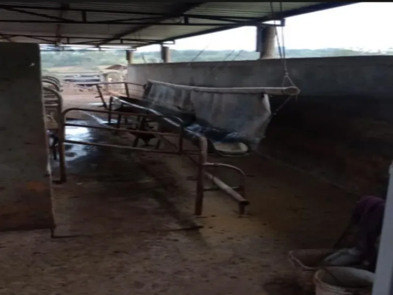 Imóvel rural em leilão