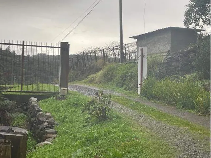 Imóvel rural em leilão