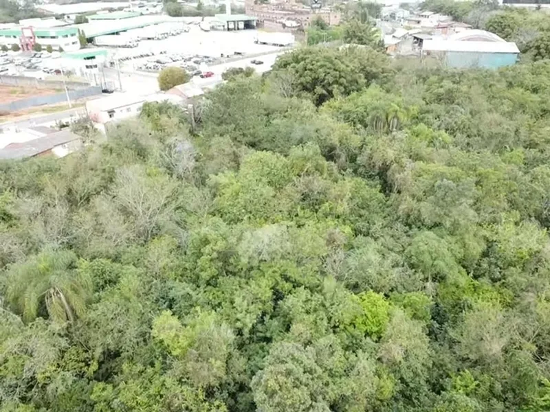 Terreno em leilão