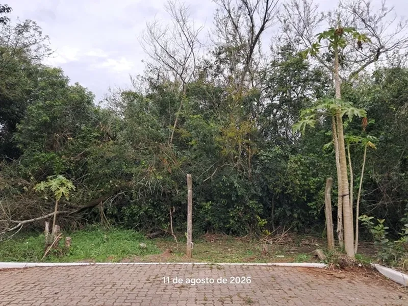 Terreno em leilão