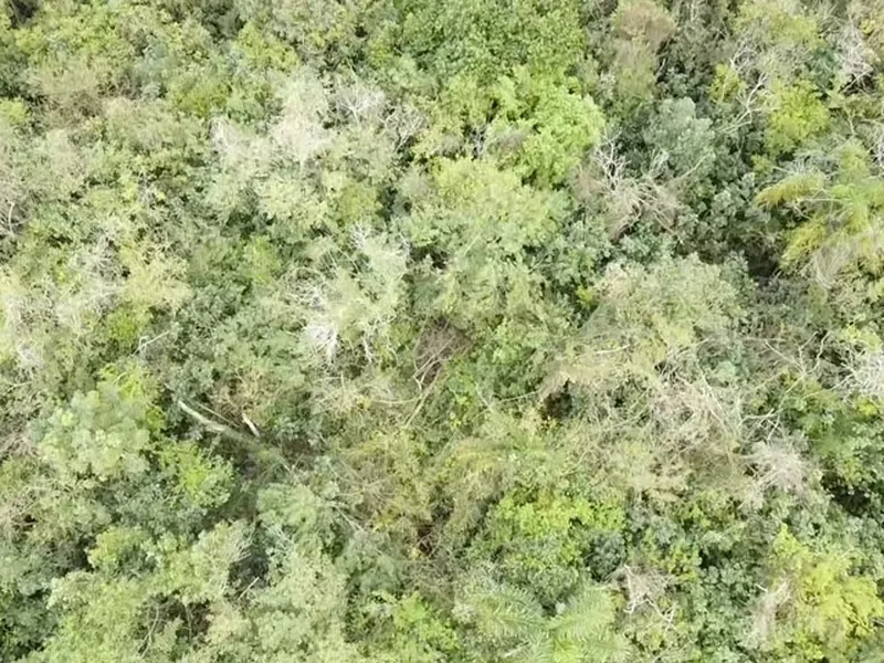 Terreno em leilão