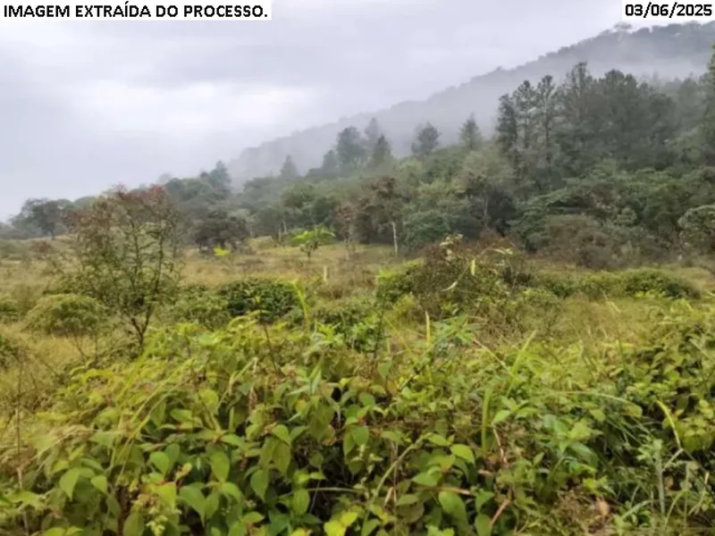Imóvel rural em leilão