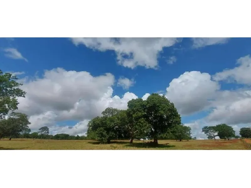 Imóvel rural em leilão